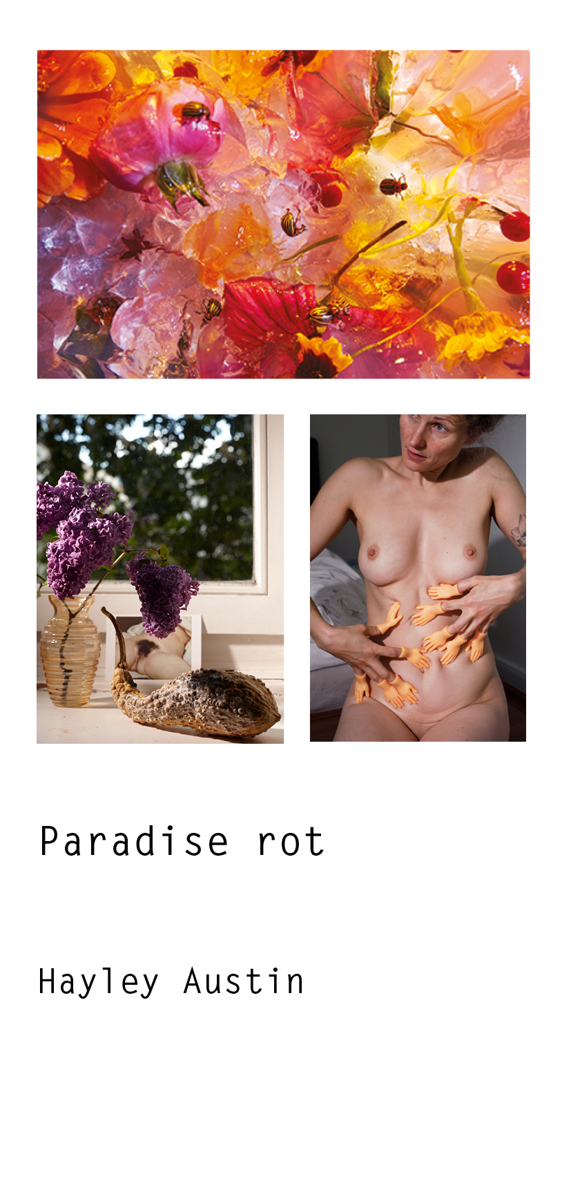 Paradise rot - Hayley Austin